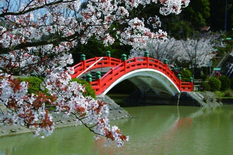 🌳 하부 공원(하부 코엔) 이미지 6